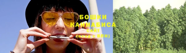 гашик Коряжма