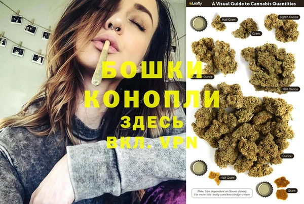 гашик Коряжма