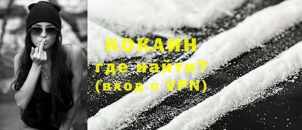 гашик Коряжма