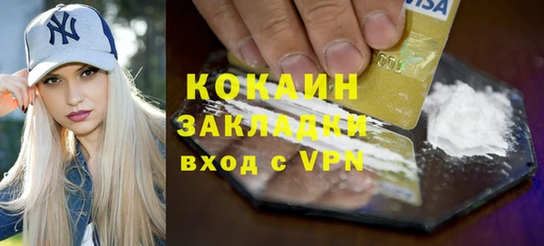 гашик Коряжма