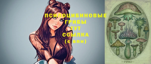 гашик Коряжма