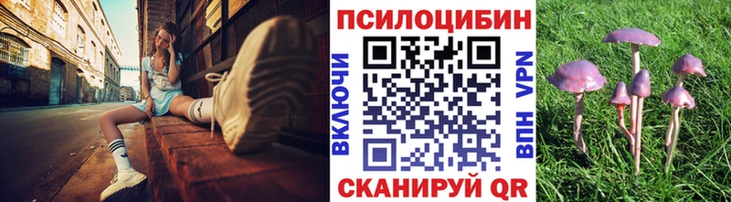 mega   Николаевск-на-Амуре  Галлюциногенные грибы мухоморы 